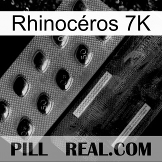 Rhinocéros 7K new03